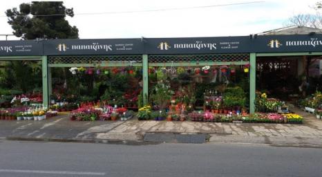 Φυτώρια Παπατζανής  banner