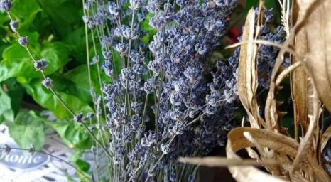 Bouquetdifiori_Banner