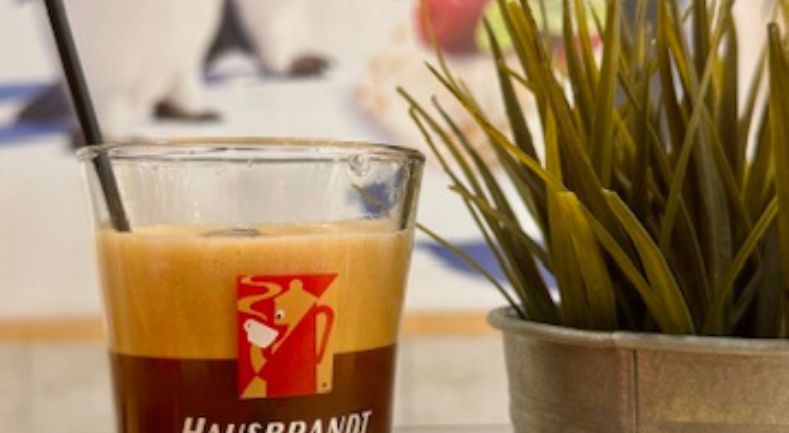 il_pinguino_gelato_Logo