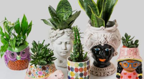 Moisis_flower_design_Banner